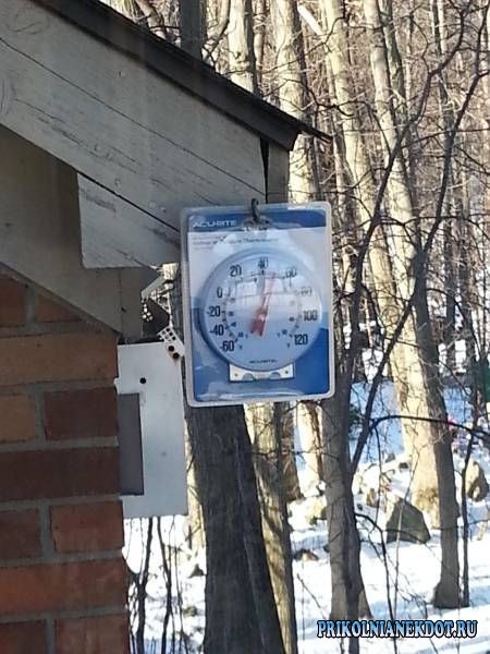 Люди, которые не волнуются ни о чём. |Фото - ludi-kotorie-ne-volnuyutsia-ne-o-chem-31| www.prikolnianekdot.ru